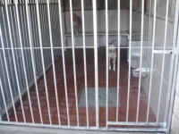 /album/galeria-de-fotos/foto-jpg/