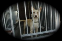 /album/galeria-de-fotos/fotos-2011-006-jpg/