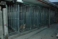 /album/galeria-de-fotos/fotos-2011-618-jpg/