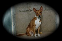 /album/galeria-de-fotos/fotos-2011-665-jpg/