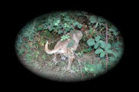 /album/galeria-de-fotos/dsc-0365-jpg/