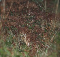 /album/galeria-de-fotos/dscn0835-jpg/