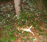 /album/galeria-de-fotos/dscn0834-jpg/